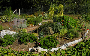 Quadra Island Community Garden