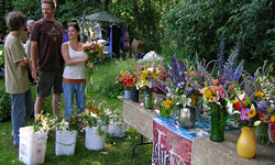 Quadra Island farmers' Market