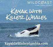Kayak with Killer Whales